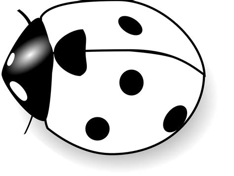 black and white clipart images.